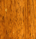 2.	BEECH WOOD